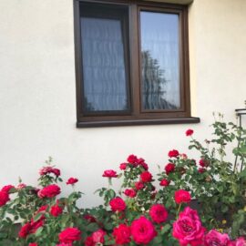 39899926_252581735394858_8266432905031450624_n-min