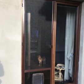 25276380_1511182622298834_1451144081_n