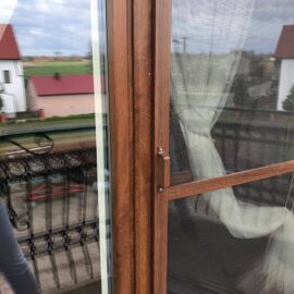 368273261_6464546856962361_105439476707378679_n