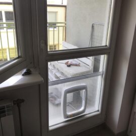 387543634_304268055669256_1069046079379368727_n