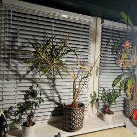 329422467_730327072040197_4675300767453687774_n (2)